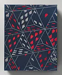 Magic Magic Book — Meriden-Steinhour Press|Wild Carrot Letterpress|The Library Fellows of the Whitney Museum of American Art|Vija Celmins|Grenfell Press|William Wegman|Philip Taaffe|Glenn Ligon|Jane Hammond|Ricky Jay