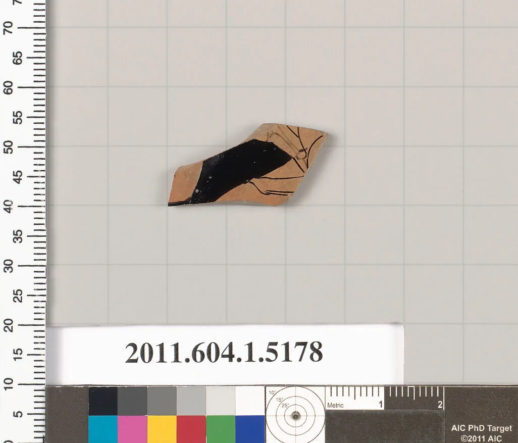 Terracotta fragment of a kylix (drinking cup) — Unknown