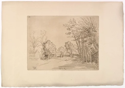 Landscape after Dürer