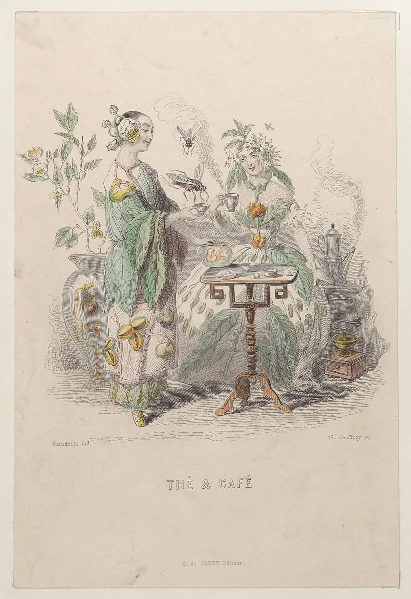Thé & Café, from "Les Fleurs Animées" — Gabriel de Gonet|Alphonse Karr|Taxile Delord|J. J. Grandville|Dubuisson|Charles-Michel Geoffroy