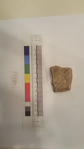 Stucco Fragment