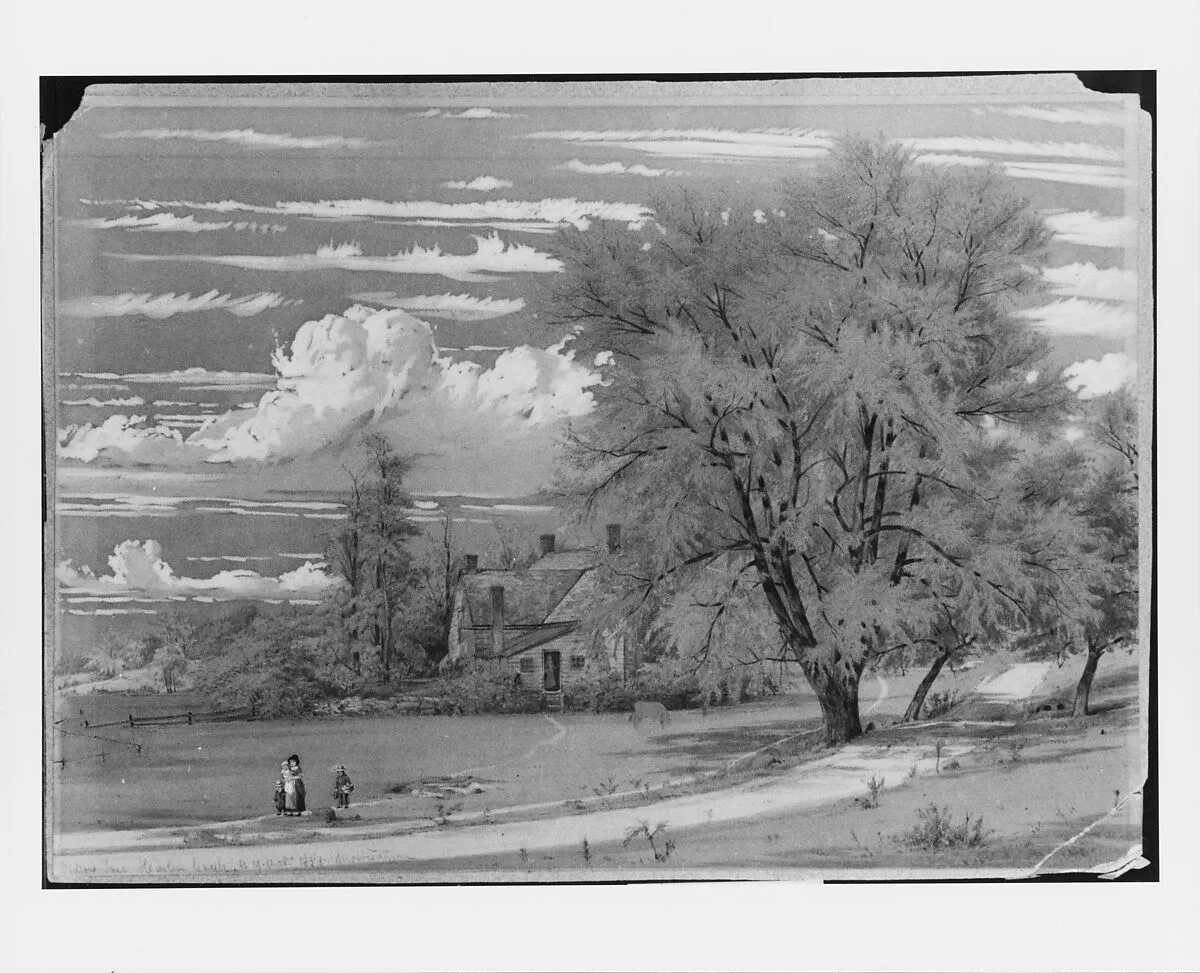 Willow Tree, Harlem Creek, New York — William Rickarby Miller