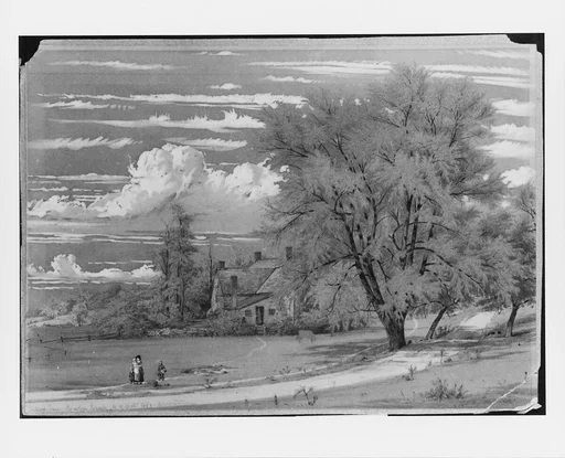 Willow Tree, Harlem Creek, New York