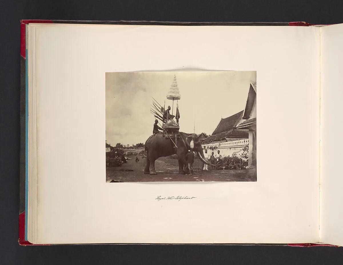 Royal Wat Elephant — John Thomson