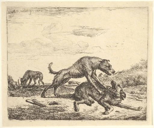 Fighting Dogs, from Different Animals