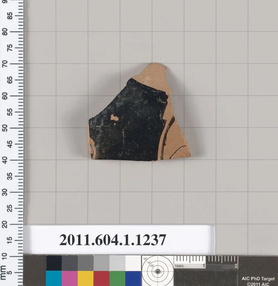 Terracotta fragment of a kylix (drinking cup) — Unknown
