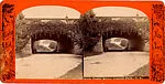 [20 Stereographic Views of Green Gap, Central Park, New York]