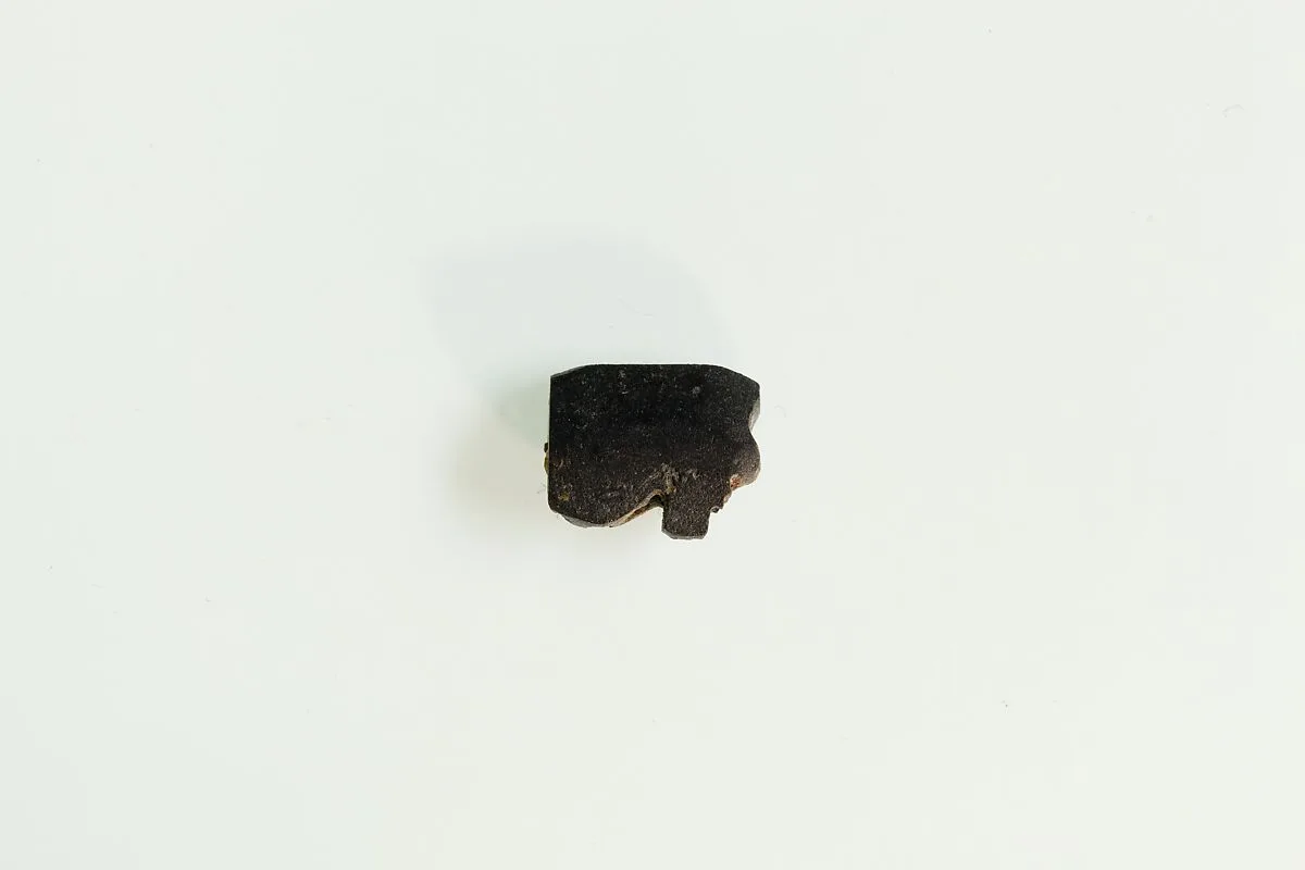 Wedjat eye from string of amulets — Unknown