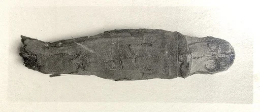 Sacred animal mummy of falcon