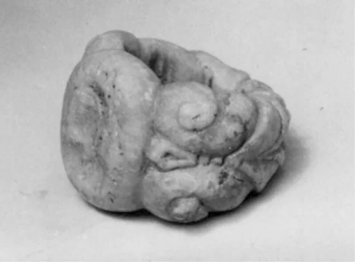 Ring seal