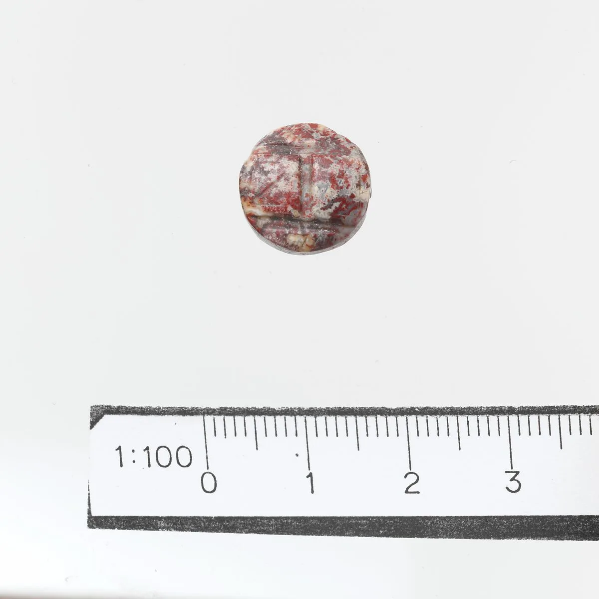 Seal — Unknown