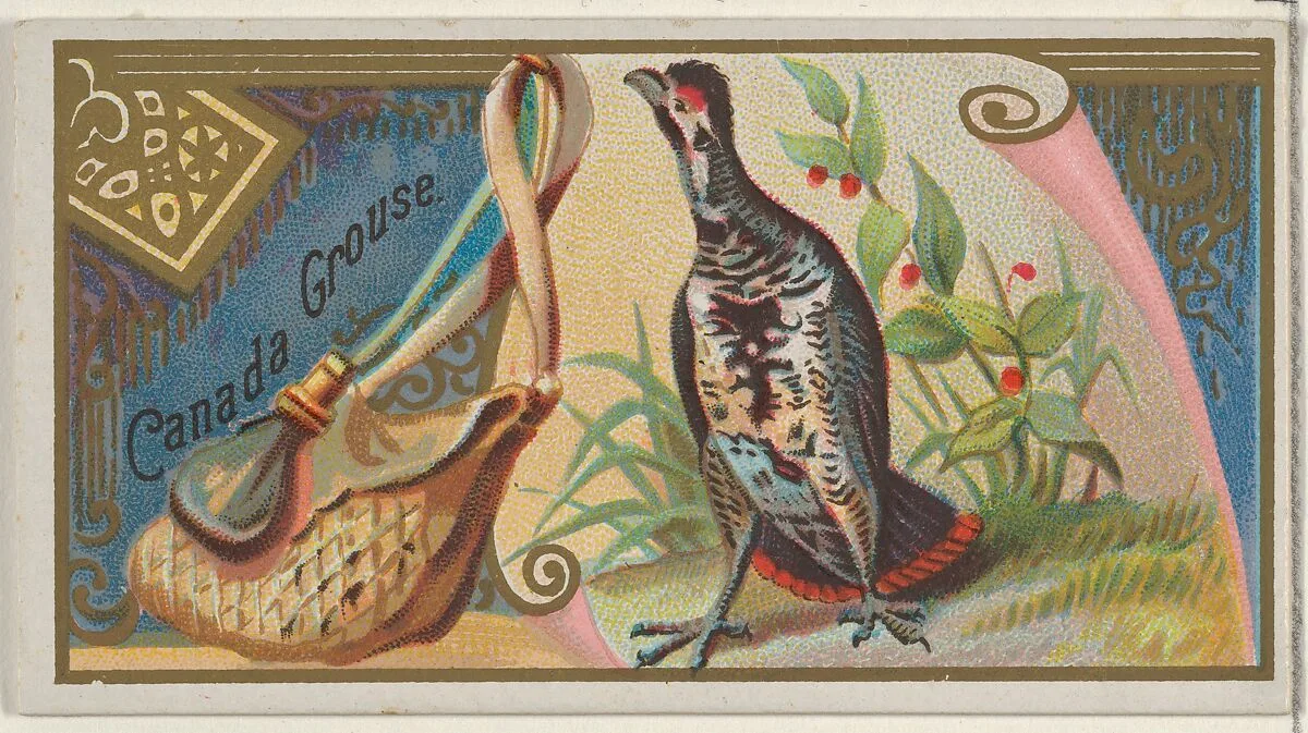 Canada Grouse, from the Game Birds series (N13) for Allen & Ginter Cigarettes Brands — Allen & Ginter|George S. Harris & Sons