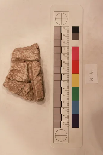 Stucco Fragment