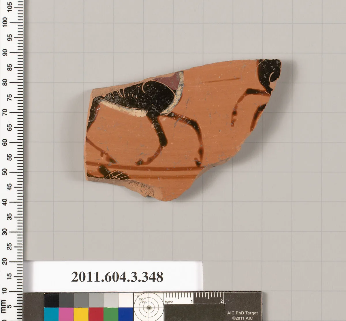 Terracotta fragment of a neck-amphora (jar) — Unknown