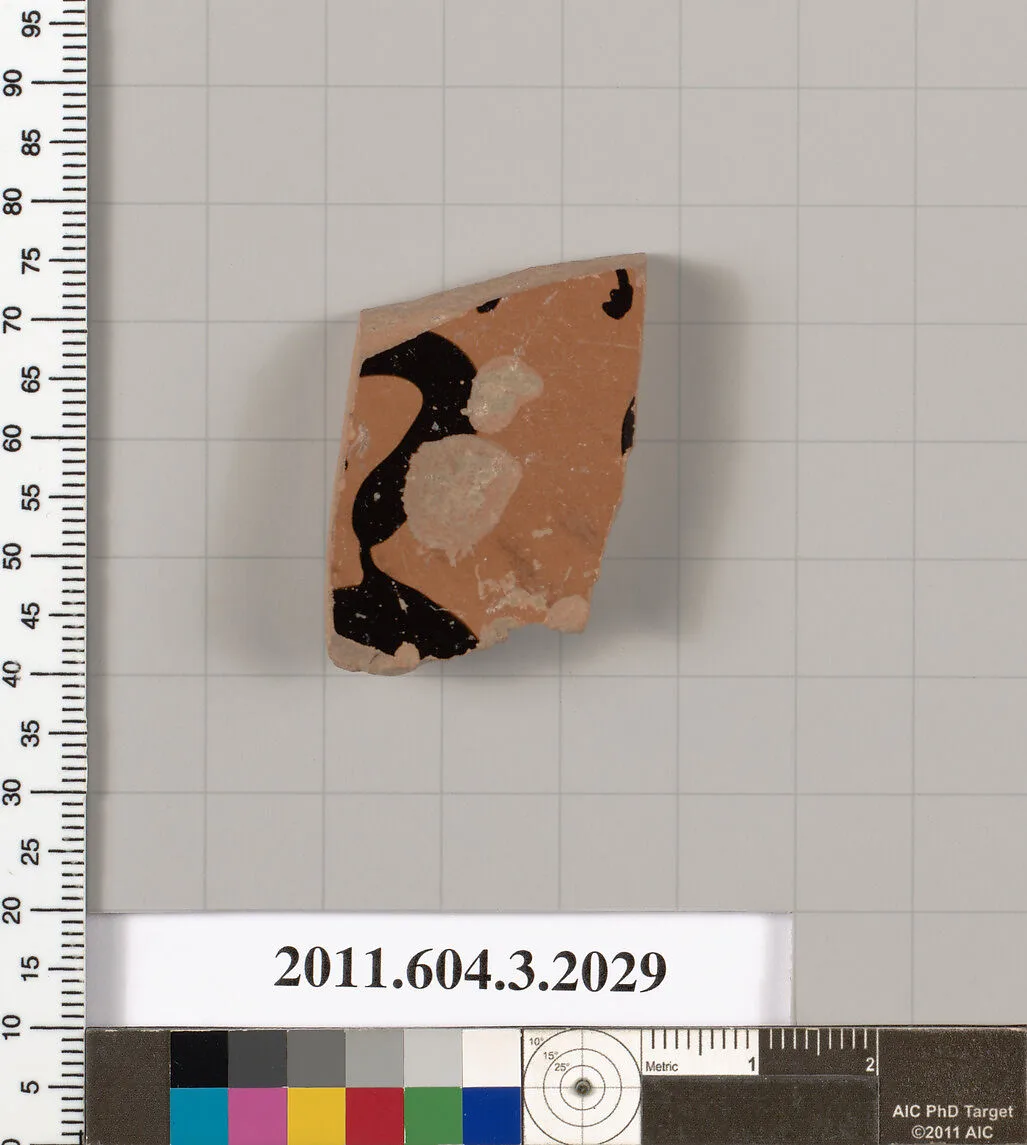 Terracotta fragment of a kylix (drinking cup) — Unknown