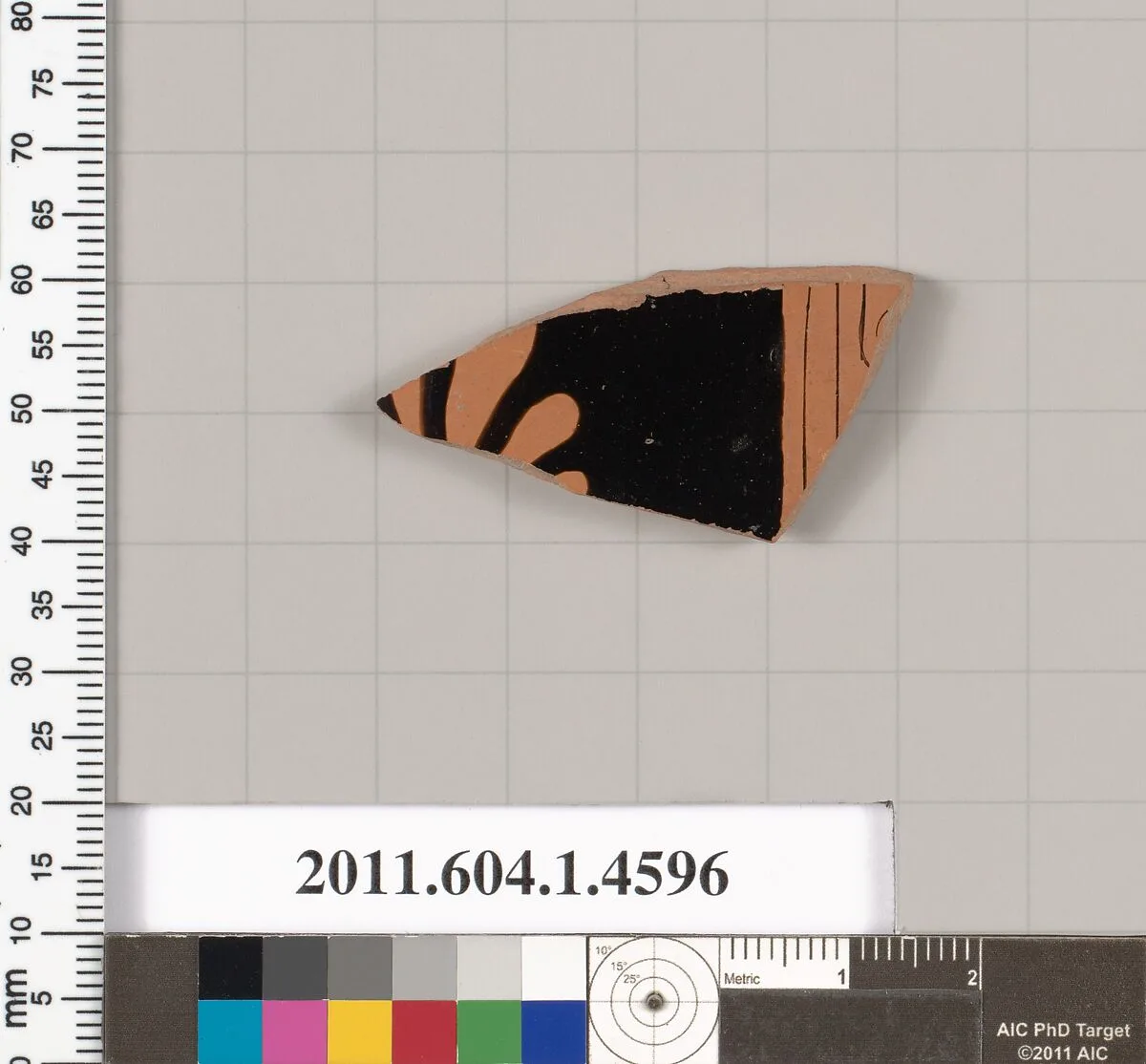 Terracotta fragment of a kylix (drinking cup) — Unknown