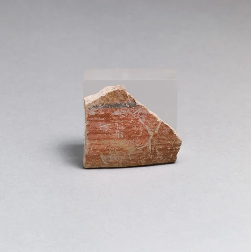 Vase fragment