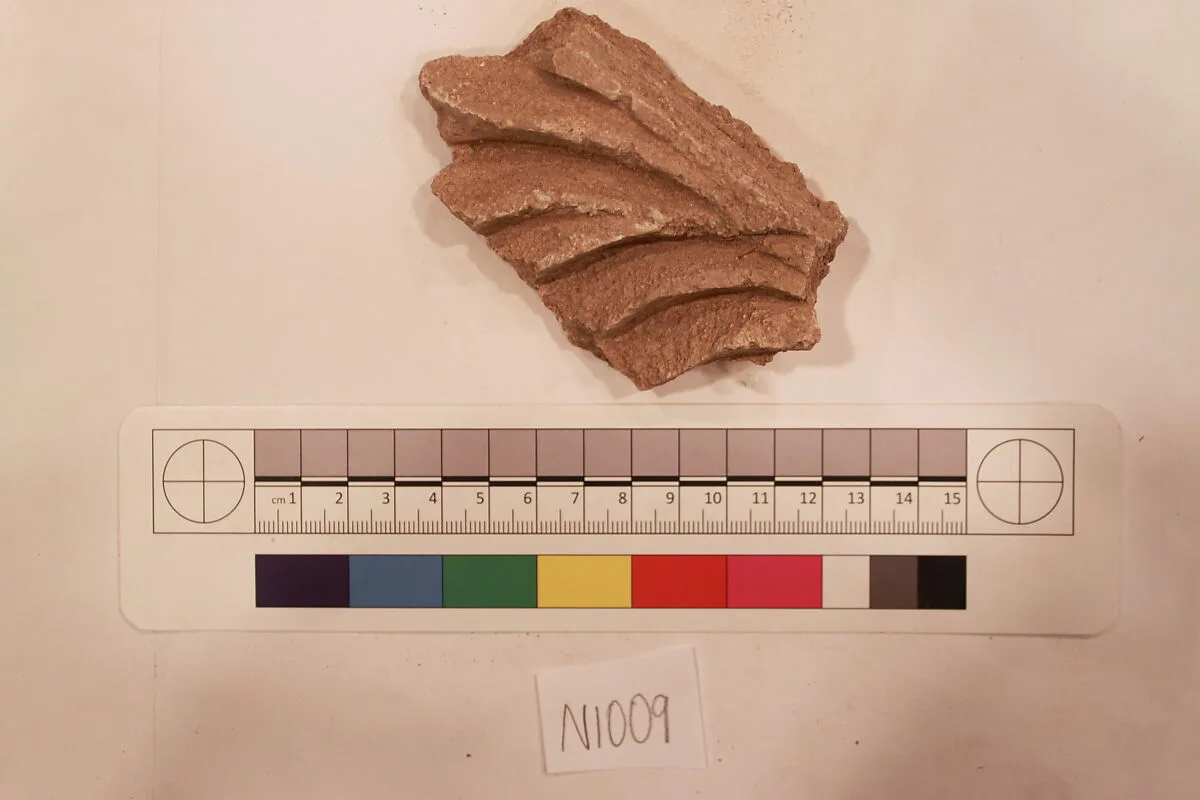 Stucco Fragment — Unknown