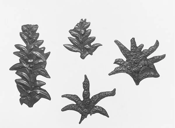 Pattern for applied gold floral motifs on the Magnolia Vase — Tiffany & Co.