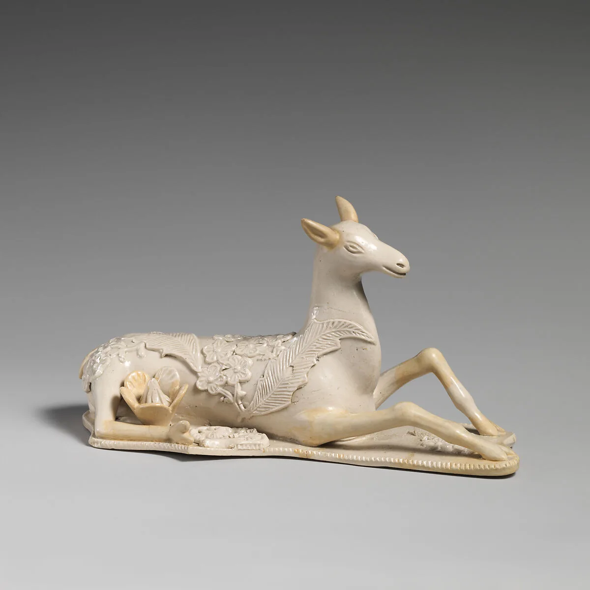 Doe — Unknown