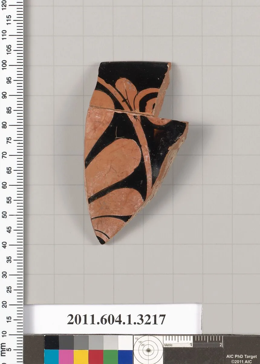 Terracotta fragment of a kylix (drinking cup) — Unknown