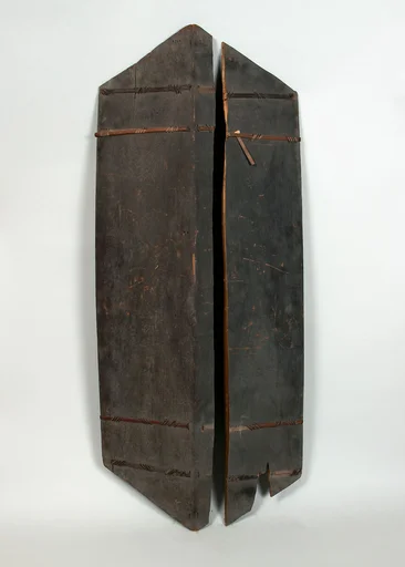 Shield