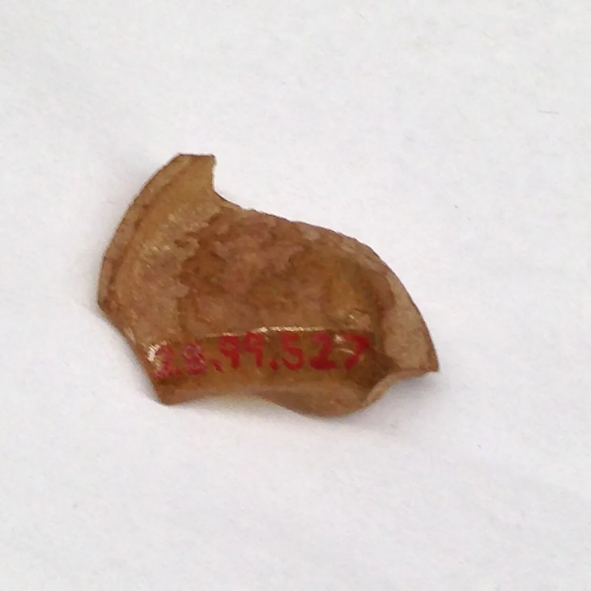 Fragment — Unknown