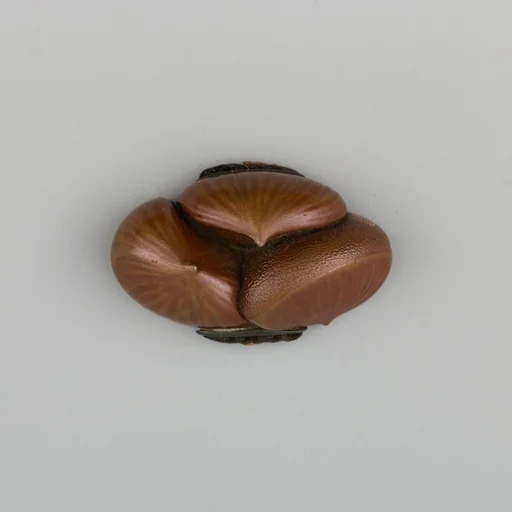 Sword Pommel (Kashira)