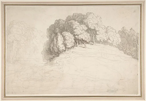 Wooded hillside with deer
