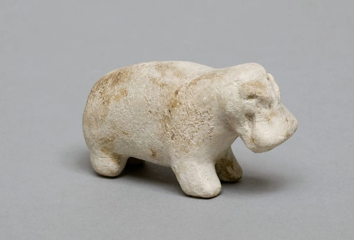 Hippopotamus — Unknown