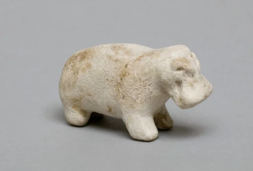 Hippopotamus