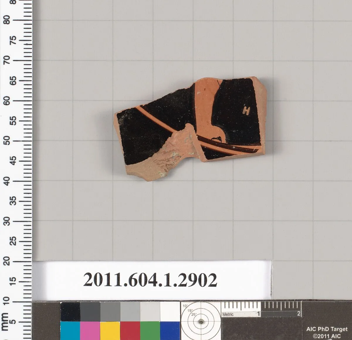 Terracotta fragment of a kylix (drinking cup) — Unknown