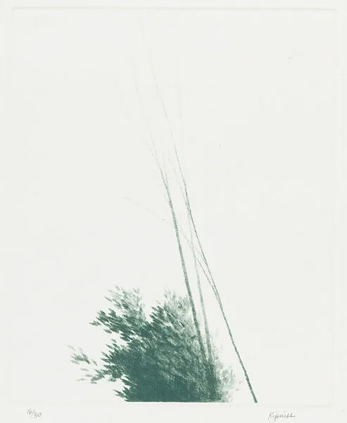 Apparitions — Robert Kipniss