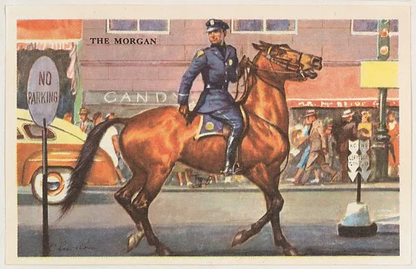 The Morgan, bakery card from the Horses series (D39-5), issued by the Gordon Bread Company — Gordon Bread Company