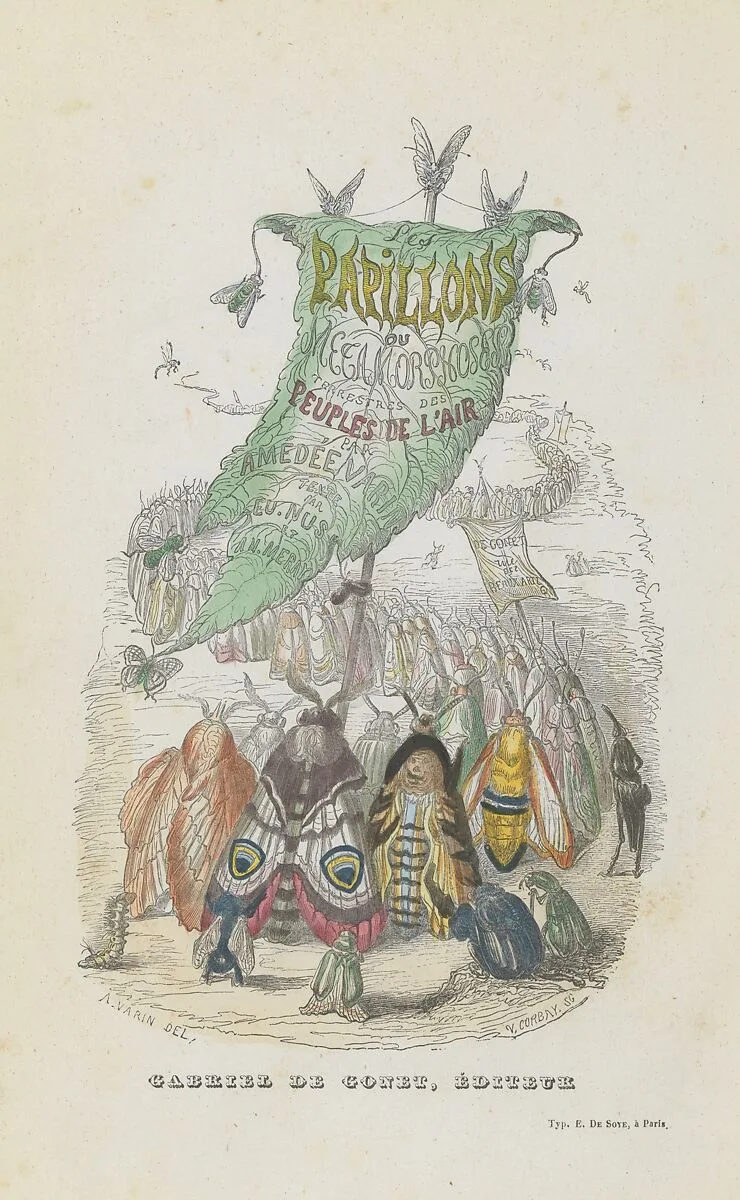 Les Papillons: Métamorphoses terrestres des peuples de l'air — Amédée Varin|Eugène Nus|Antony Méray|Gabriel de Gonet|E. de Soye