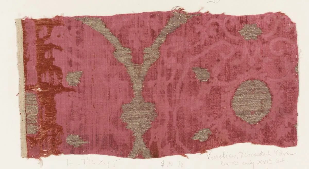 Fragment — Unknown