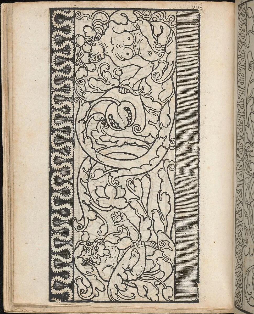 Ein new Modelbuch..., page 14 (verso) — Johann Schönsperger the Younger