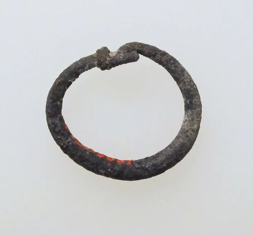 Earring-loop type