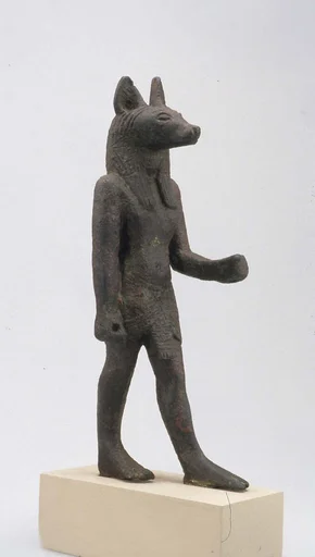 Anubis