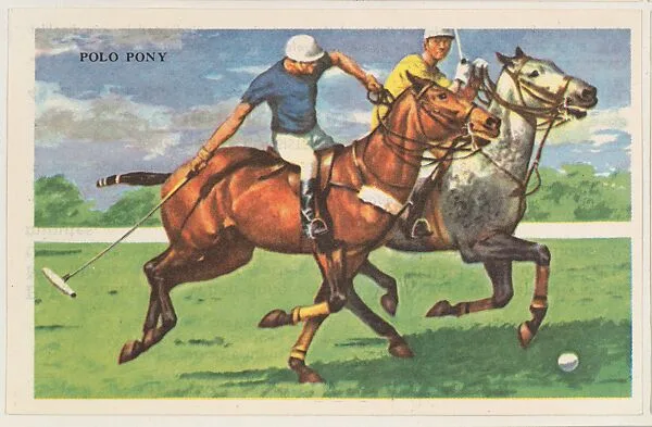 Polo Pony, bakery card from the Horses series (D39-5), issued by the Gordon Bread Company — Gordon Bread Company