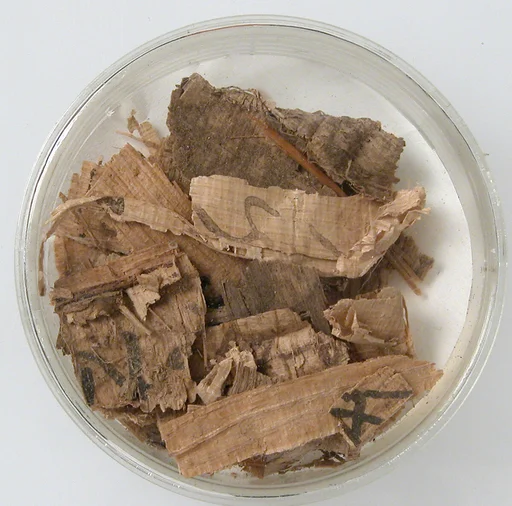 Papyri Fragments