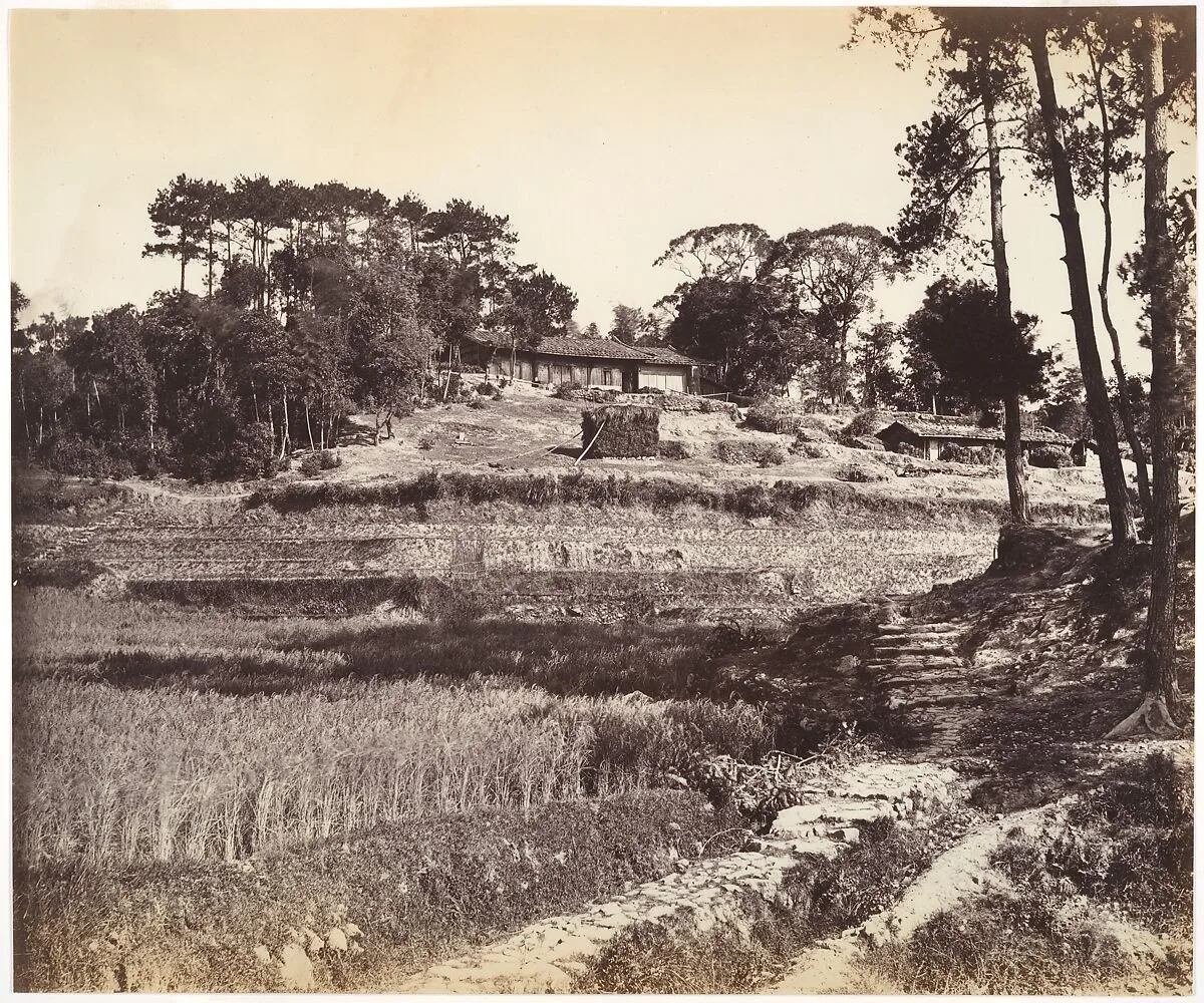 Teahouse at Peking — John Thomson