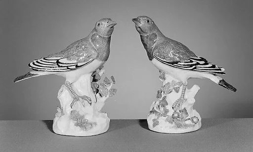 Thrush (one of a pair)