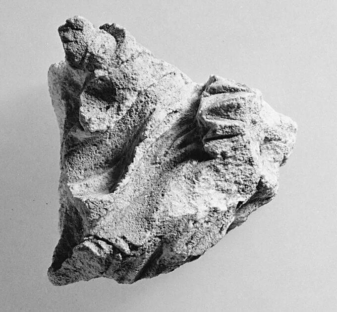 Fragments of drapery — Unknown