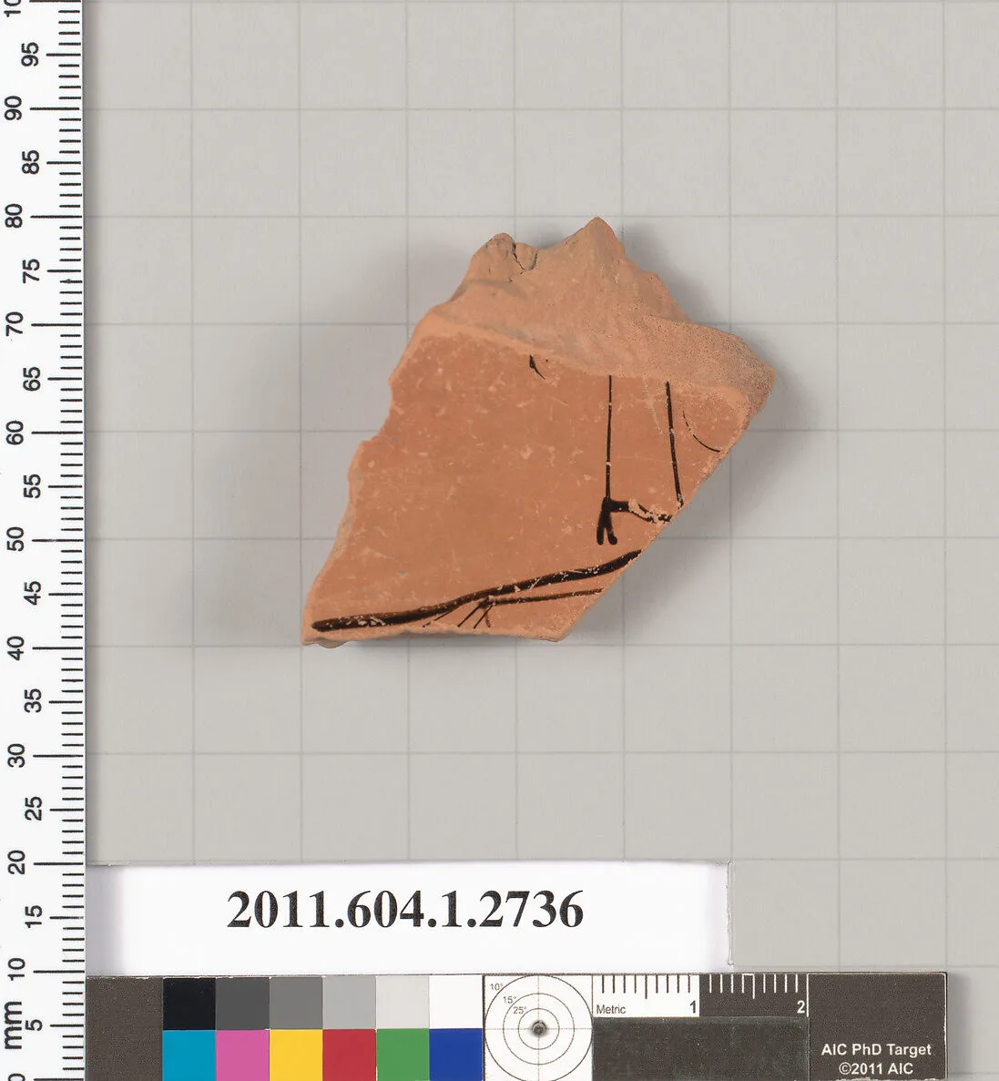 Terracotta fragment of a kylix (drinking cup) — Unknown