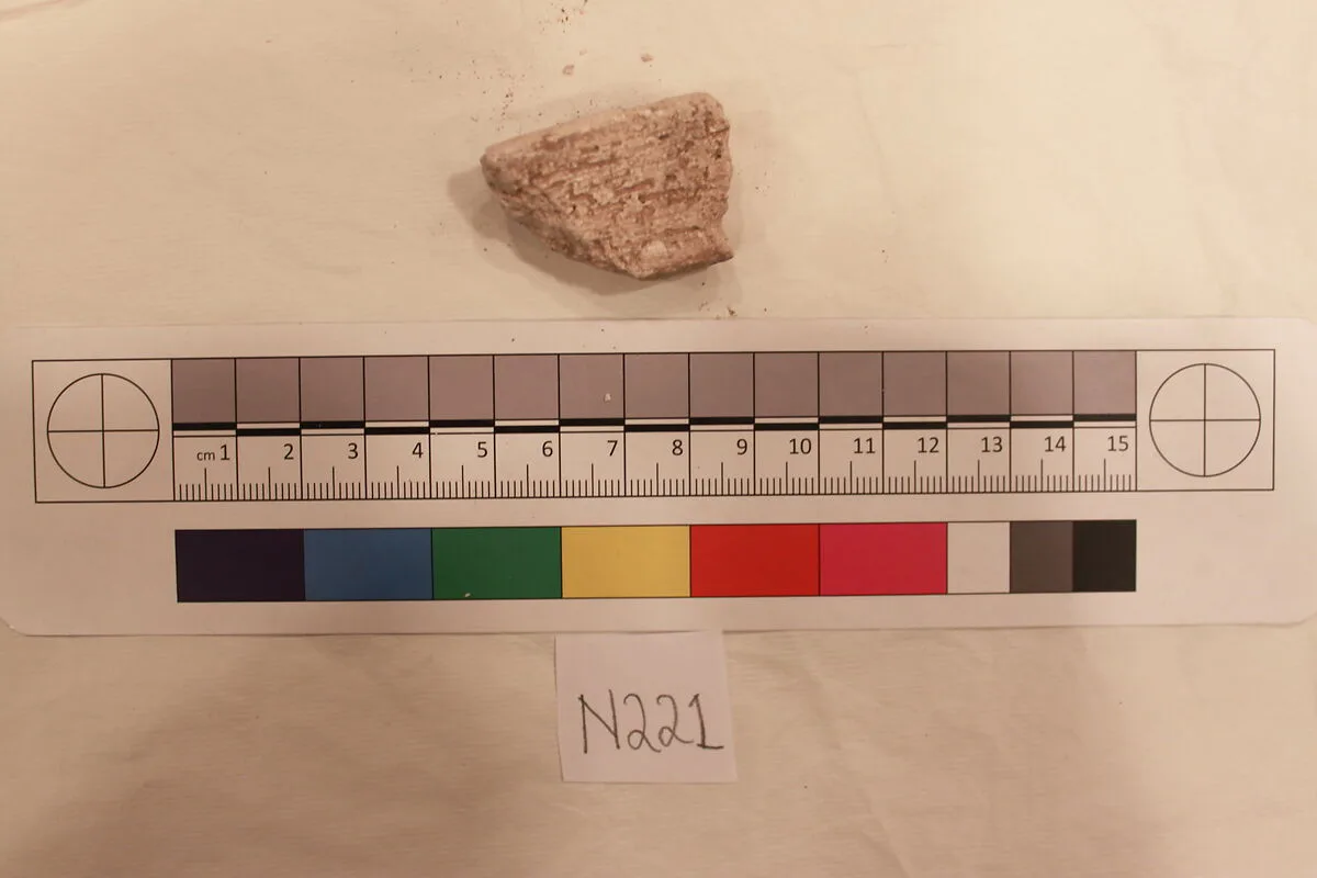 Stucco Fragment — Unknown