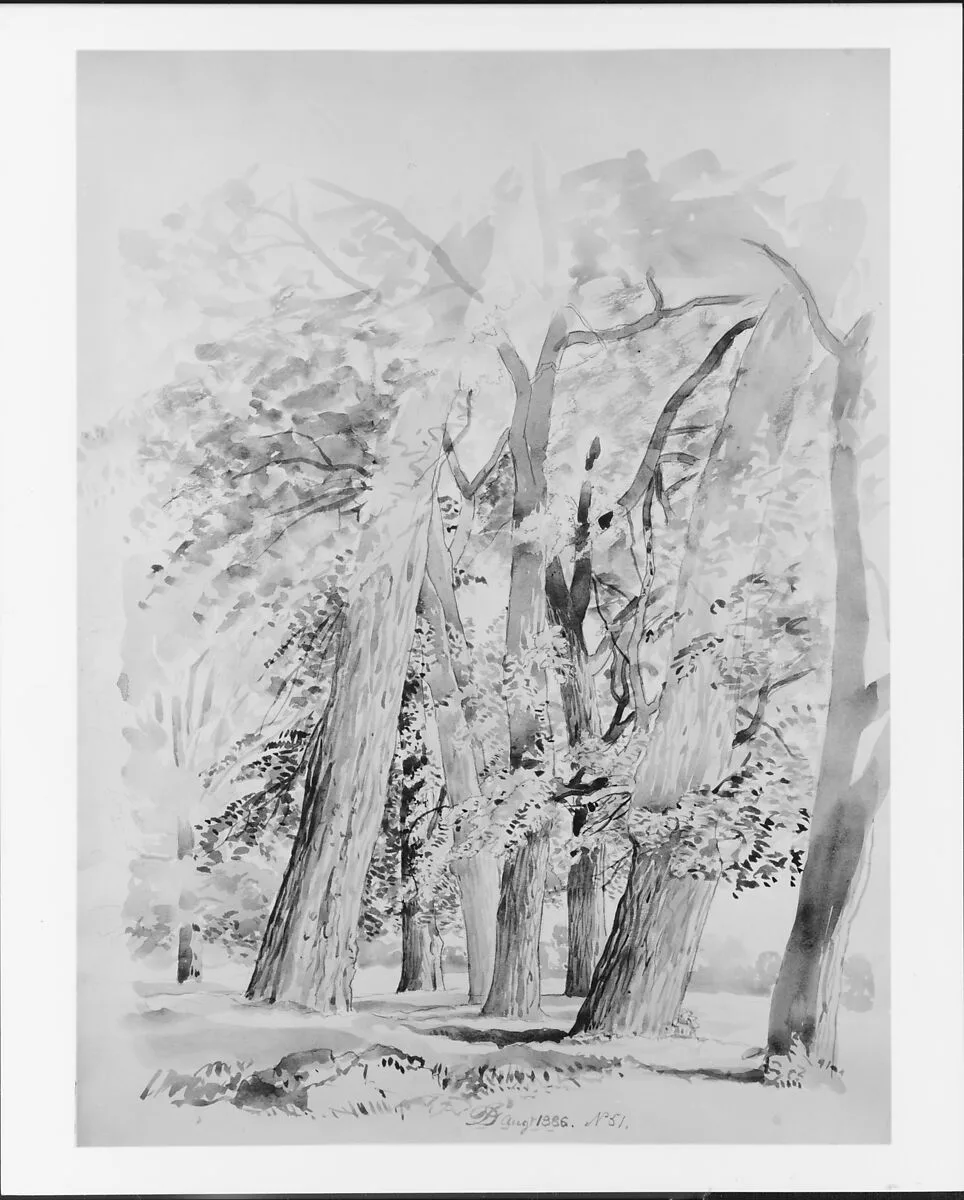 Trees — David Johnson
