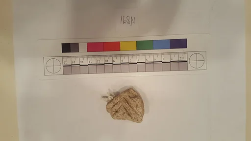 Stucco Fragment