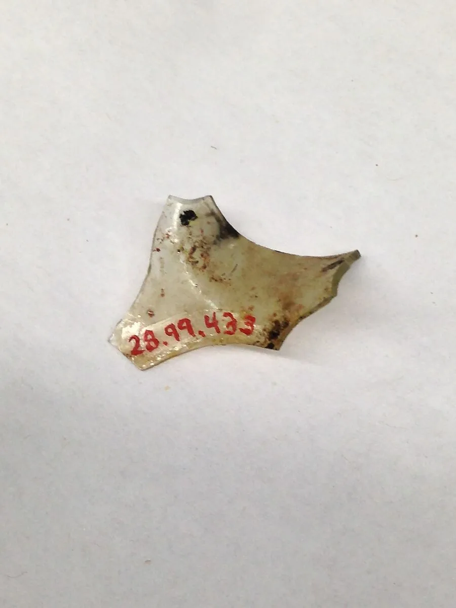 Fragment — Unknown