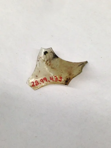 Fragment